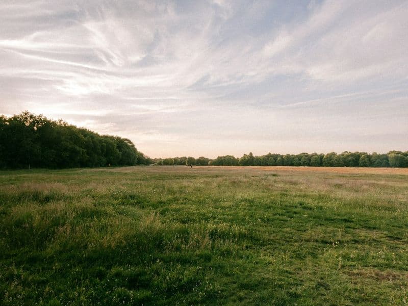 Riverside Development Tract