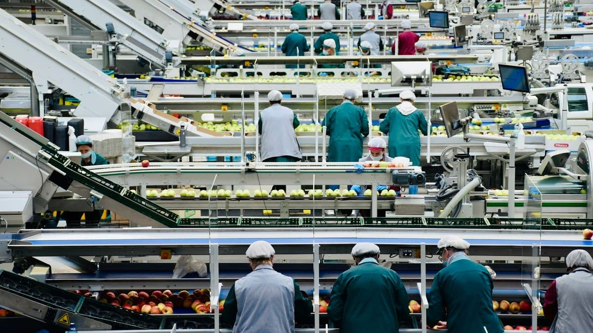 Manufacturing